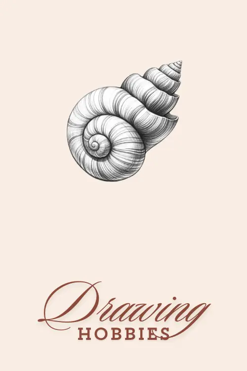 Pencil-Drawing-Ideas-Of-Seashell